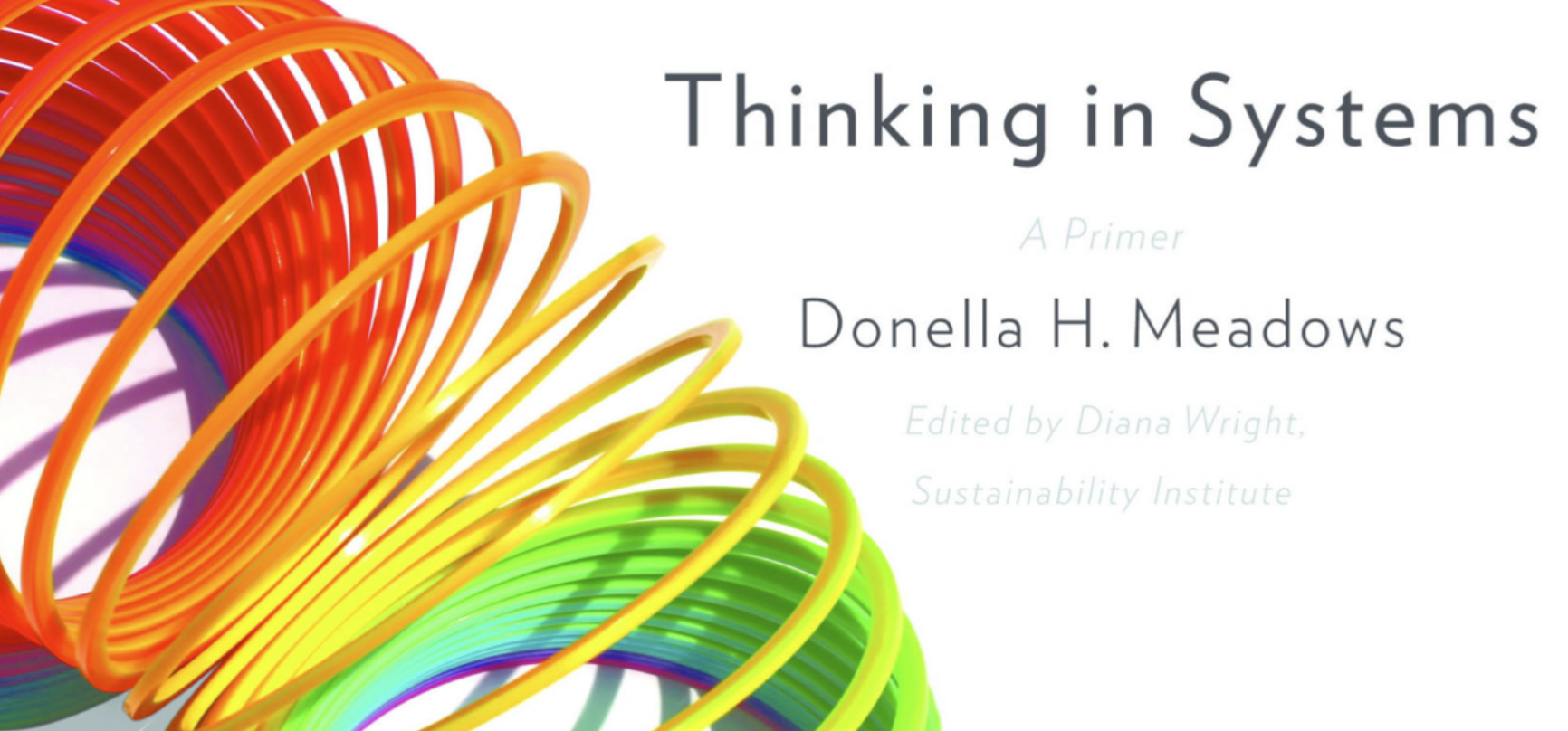 Review of Thinking in Systems: A Primer